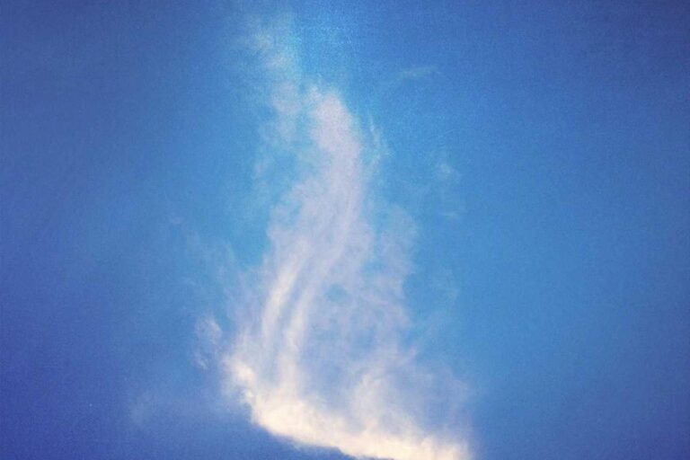 Hyundai: How Global Expansion Drives Sales