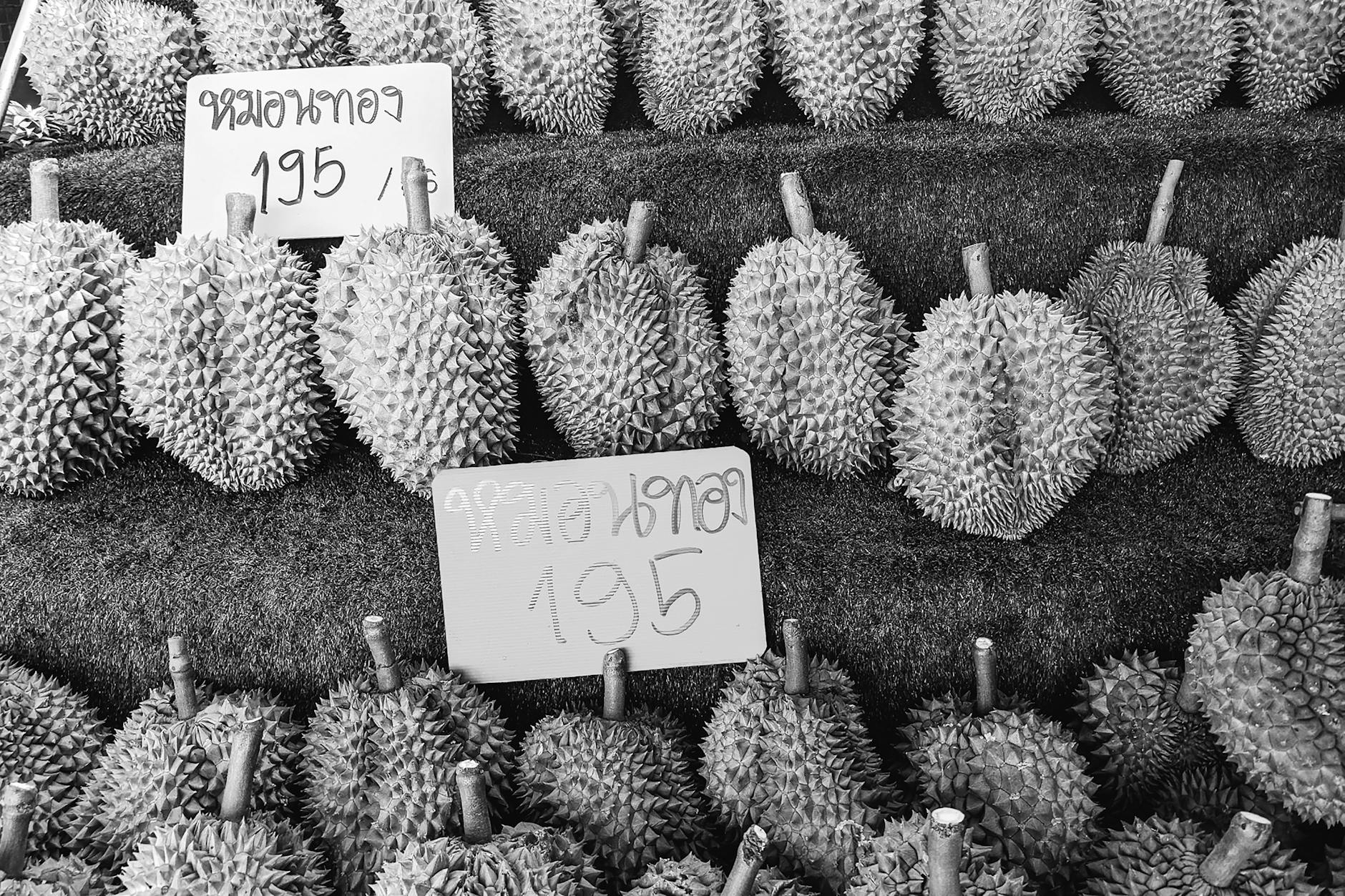 Is There Really a $2,195 Automatic Payment for Parents?