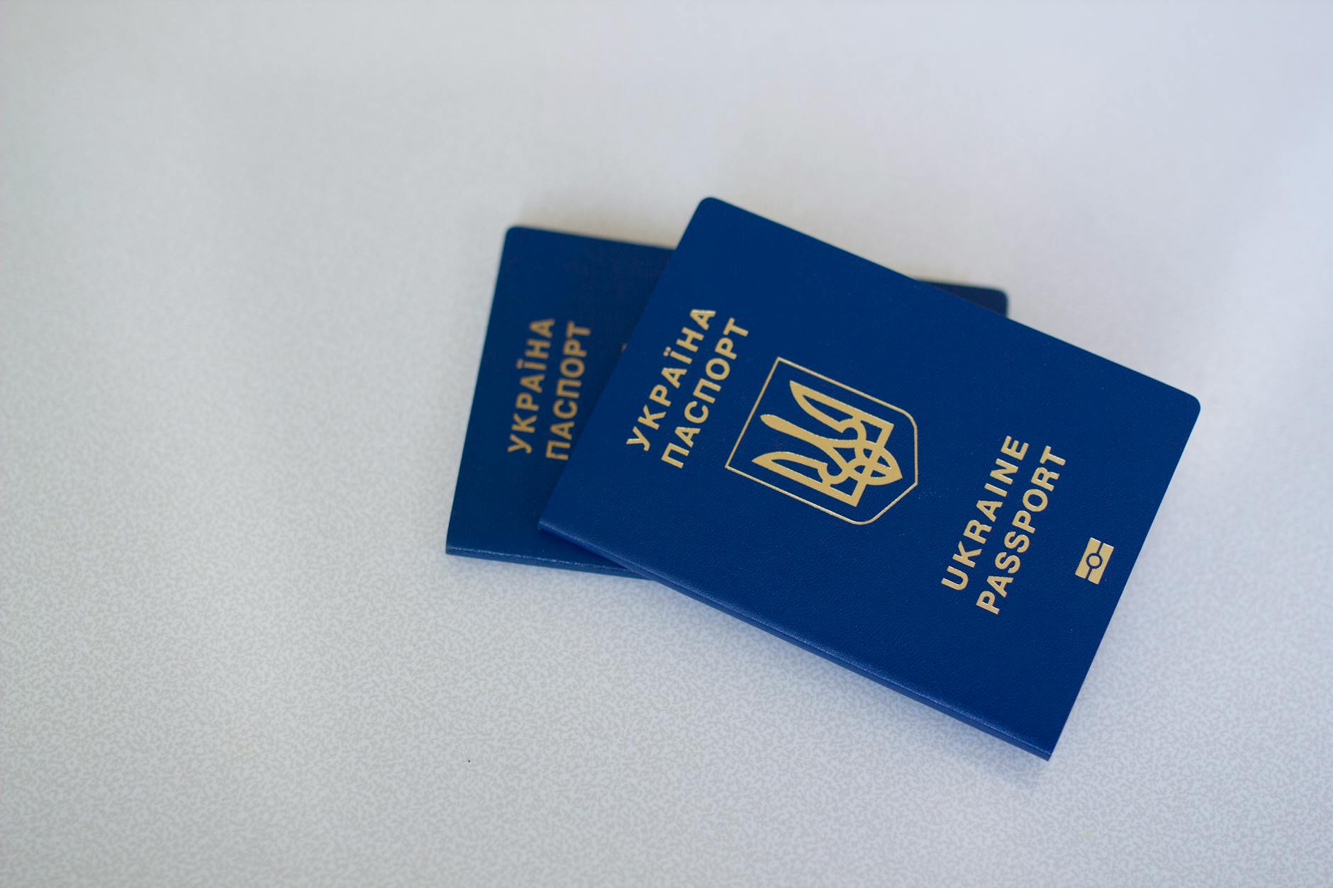 Life-or-Death Emergency Passport Service—The Fastest Track