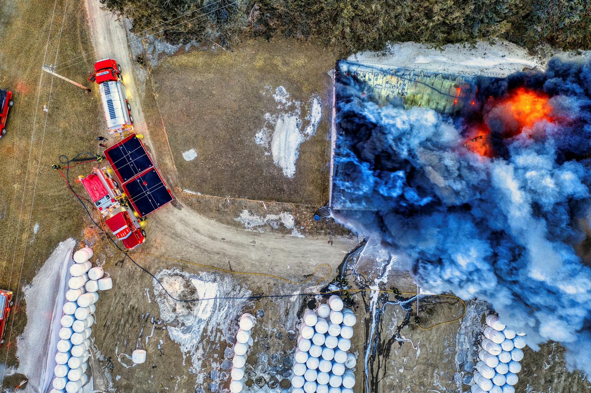 Natural Disaster Response and Herd Behavior