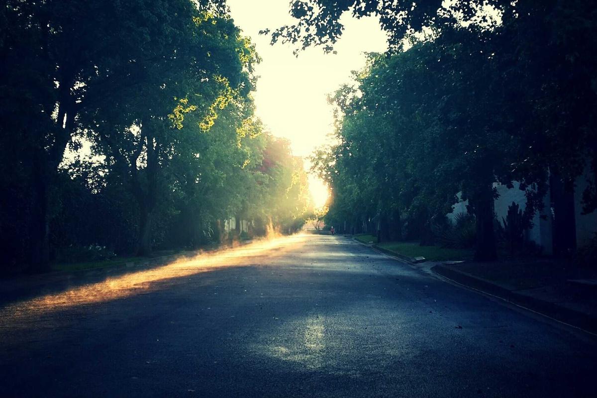 Public Safety Implications for Manhattan Nightlife Venues