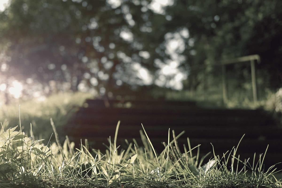 Red Flags for Tax Credit Scams and How to Protect Yourself