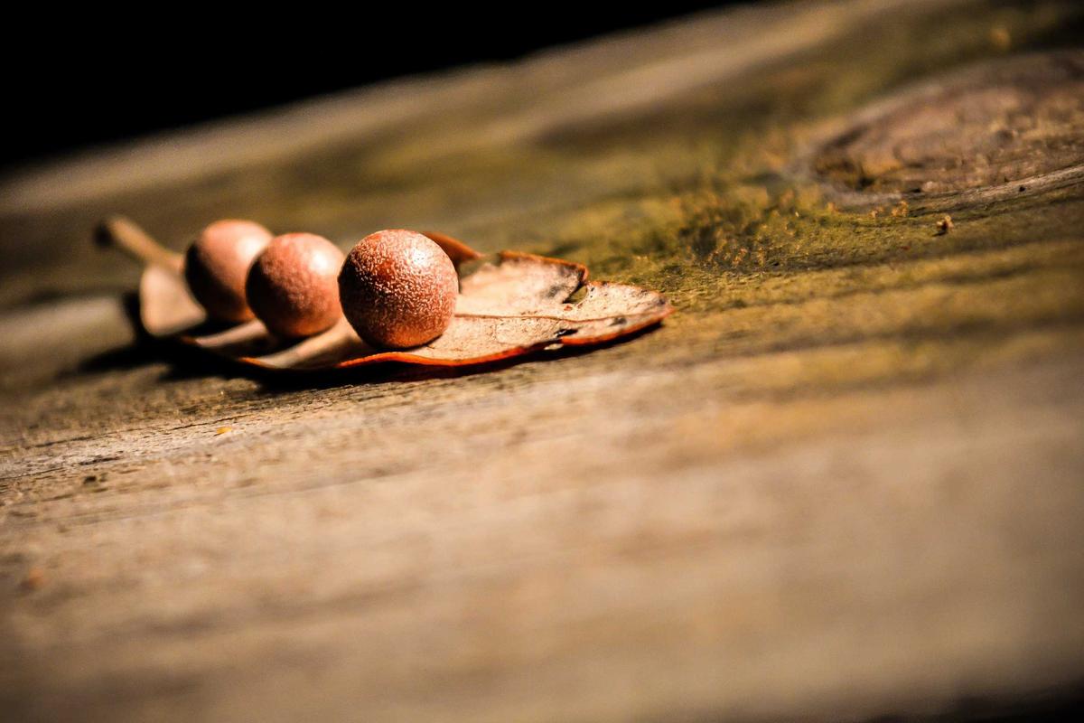 The AMC, GameStop, and Dot-Com Lesson in Collective Psychology