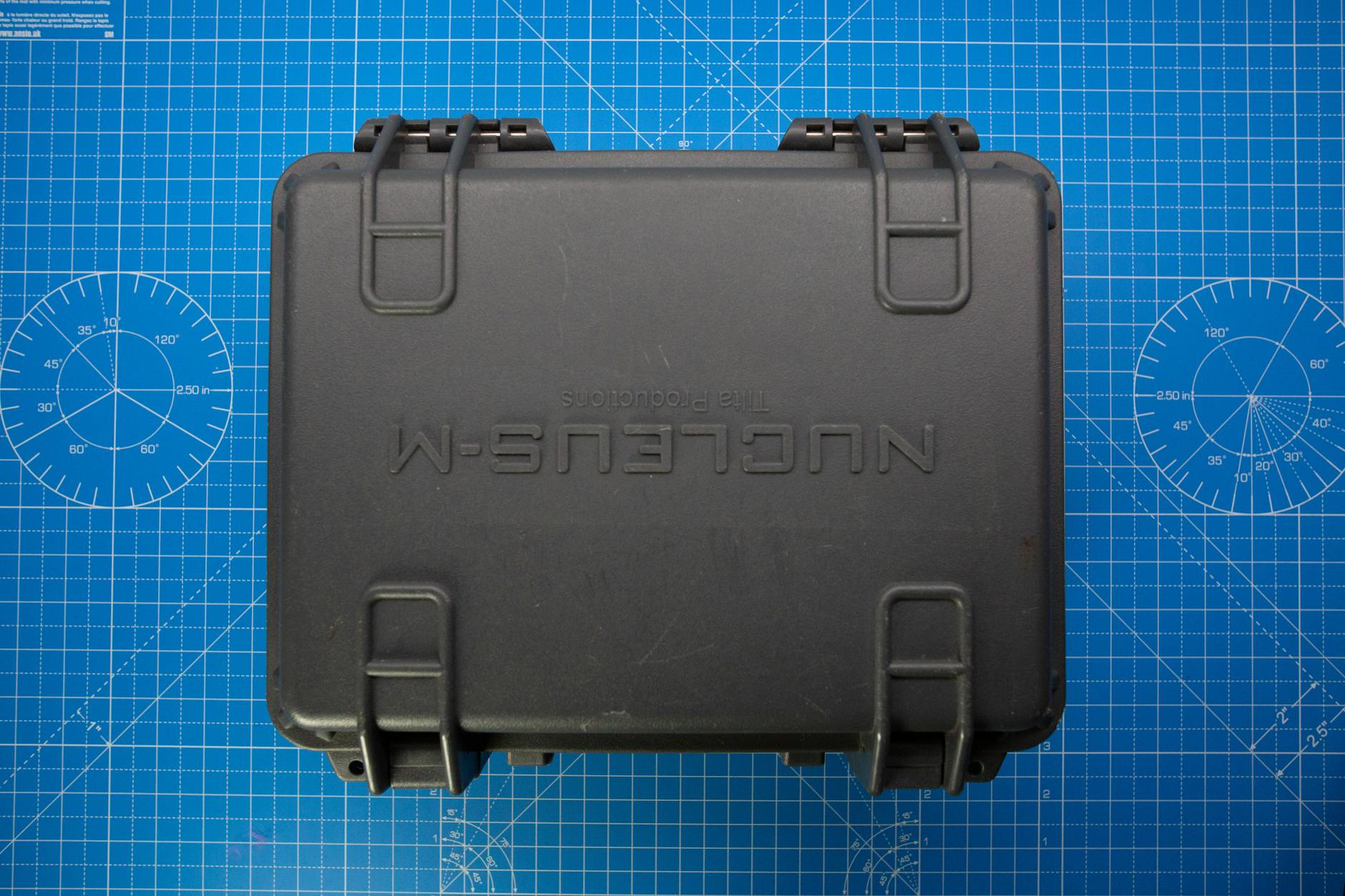 The Documented Cases of Hair Repigmentation