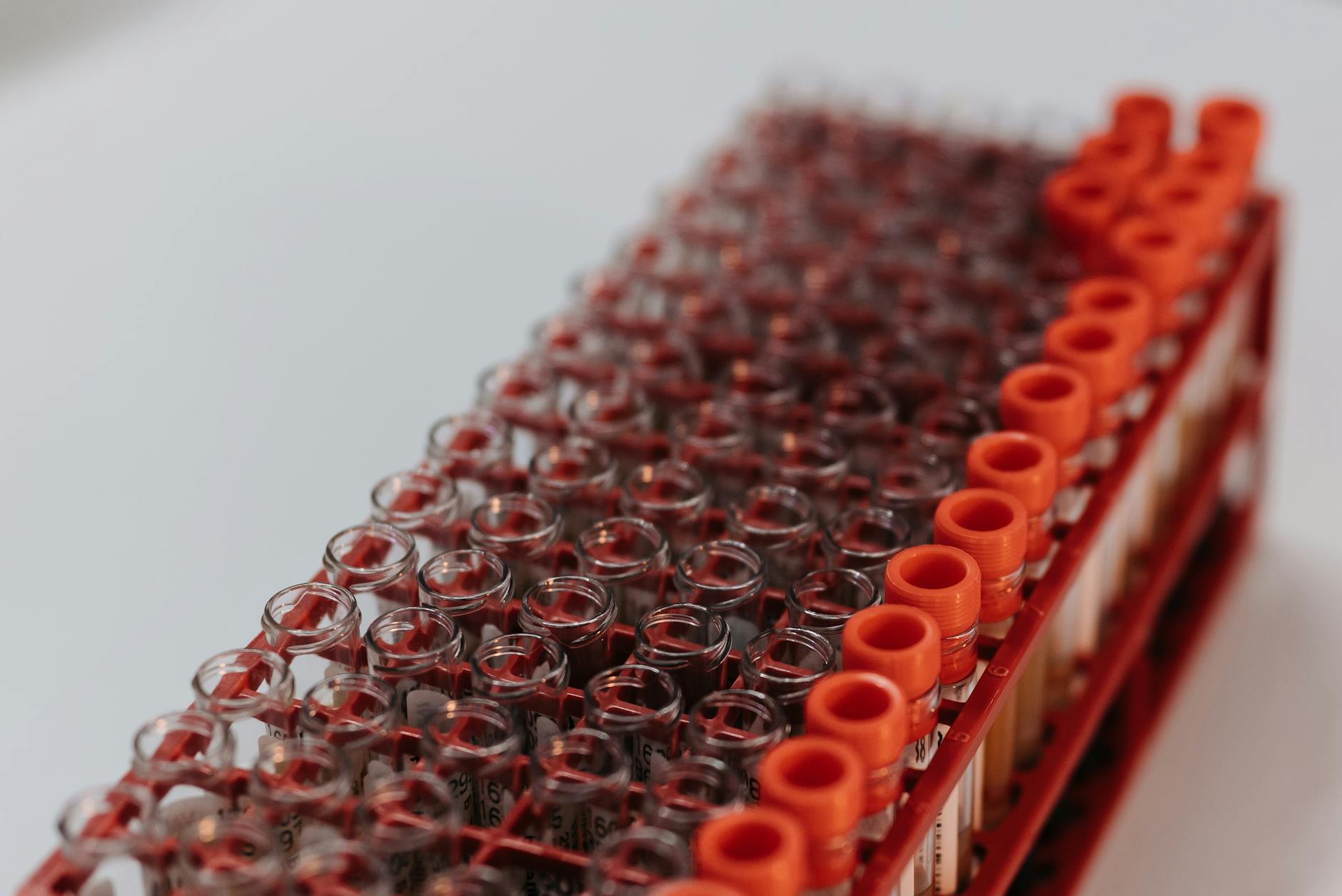 The Float Test—Why Water Reveals Egg Freshness