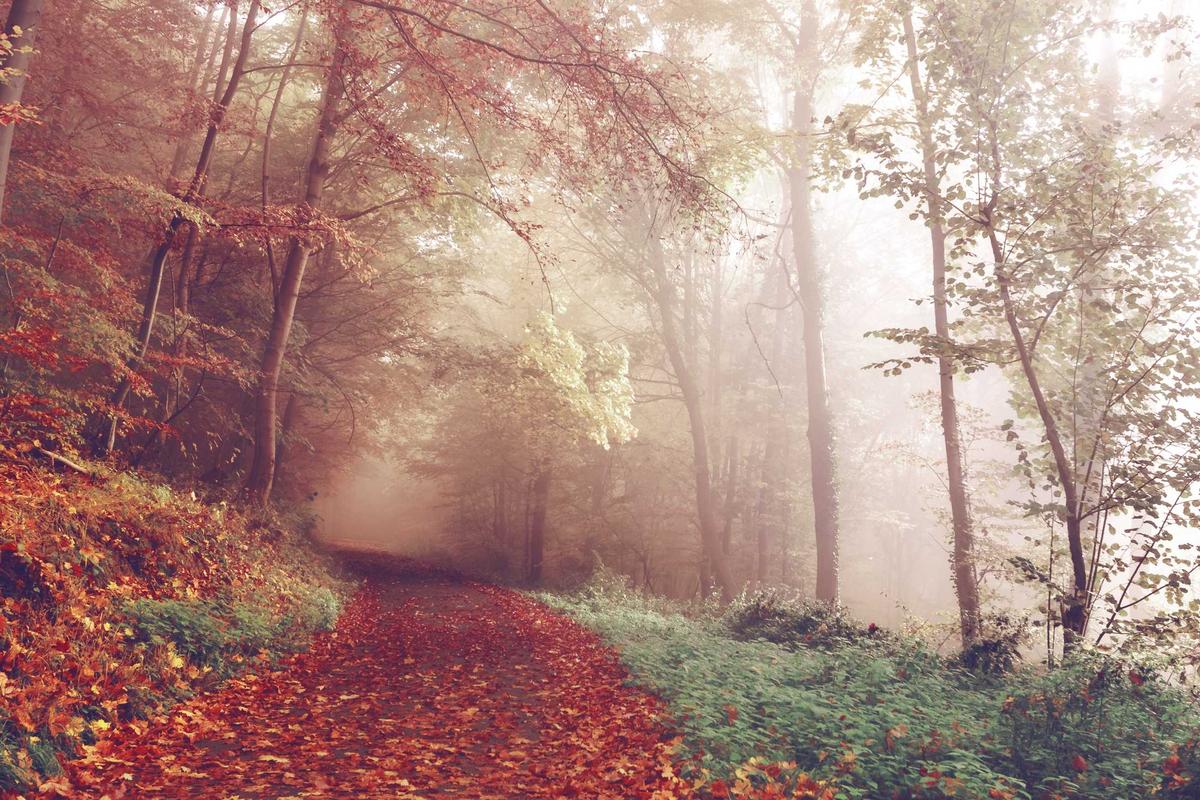 The Real-World Impact on Talent and Retention