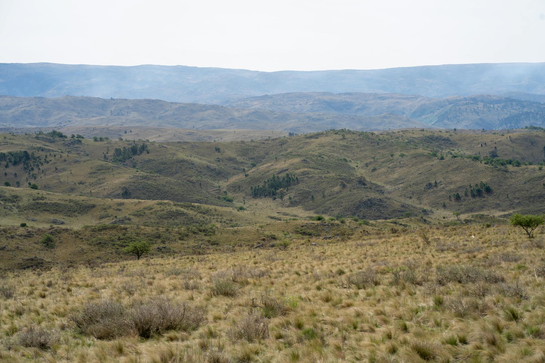 The Scam Landscape Is Getting Worse—And Investors Should Notice