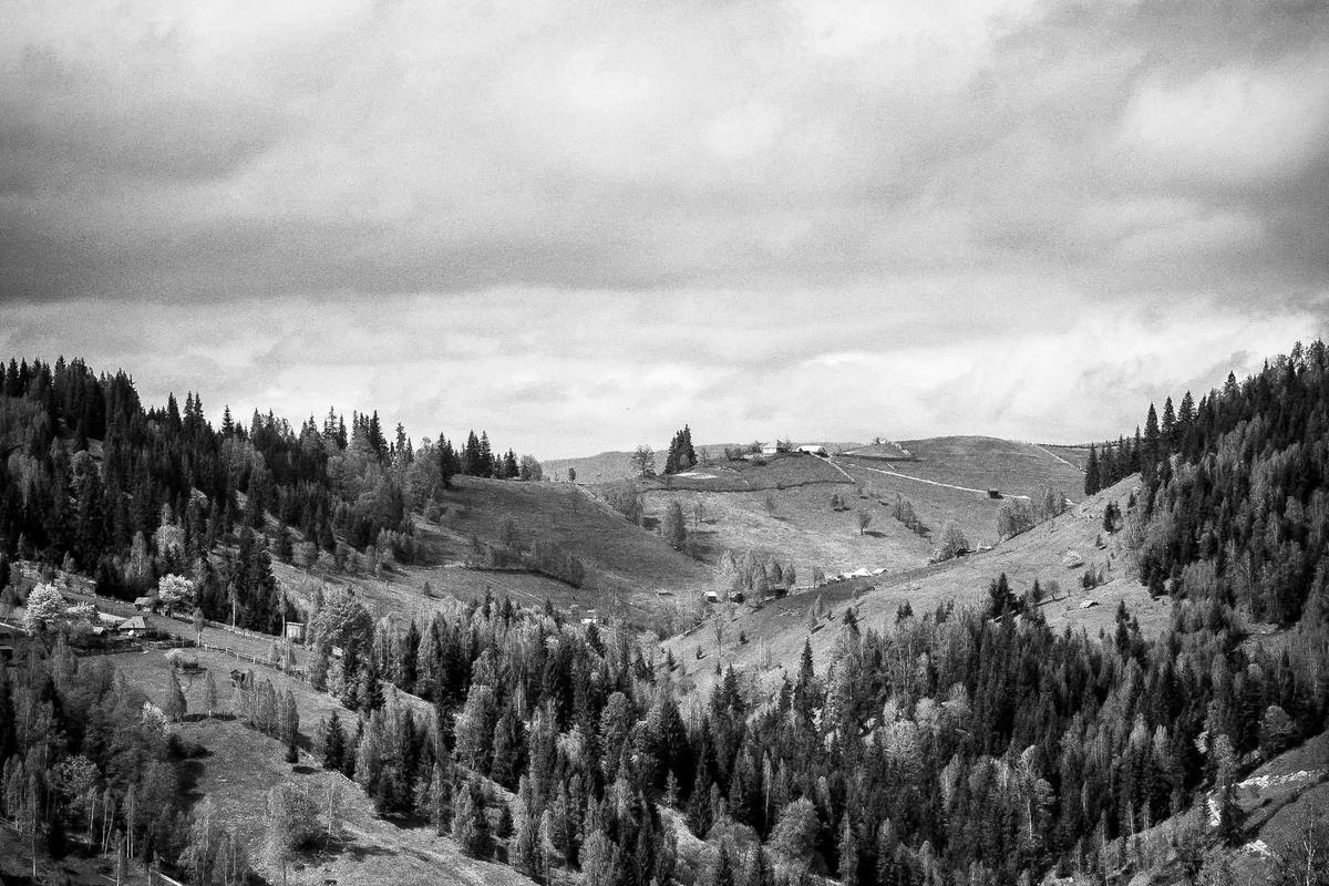 What Are Common Mistakes When Using AI to Create Study Plans?