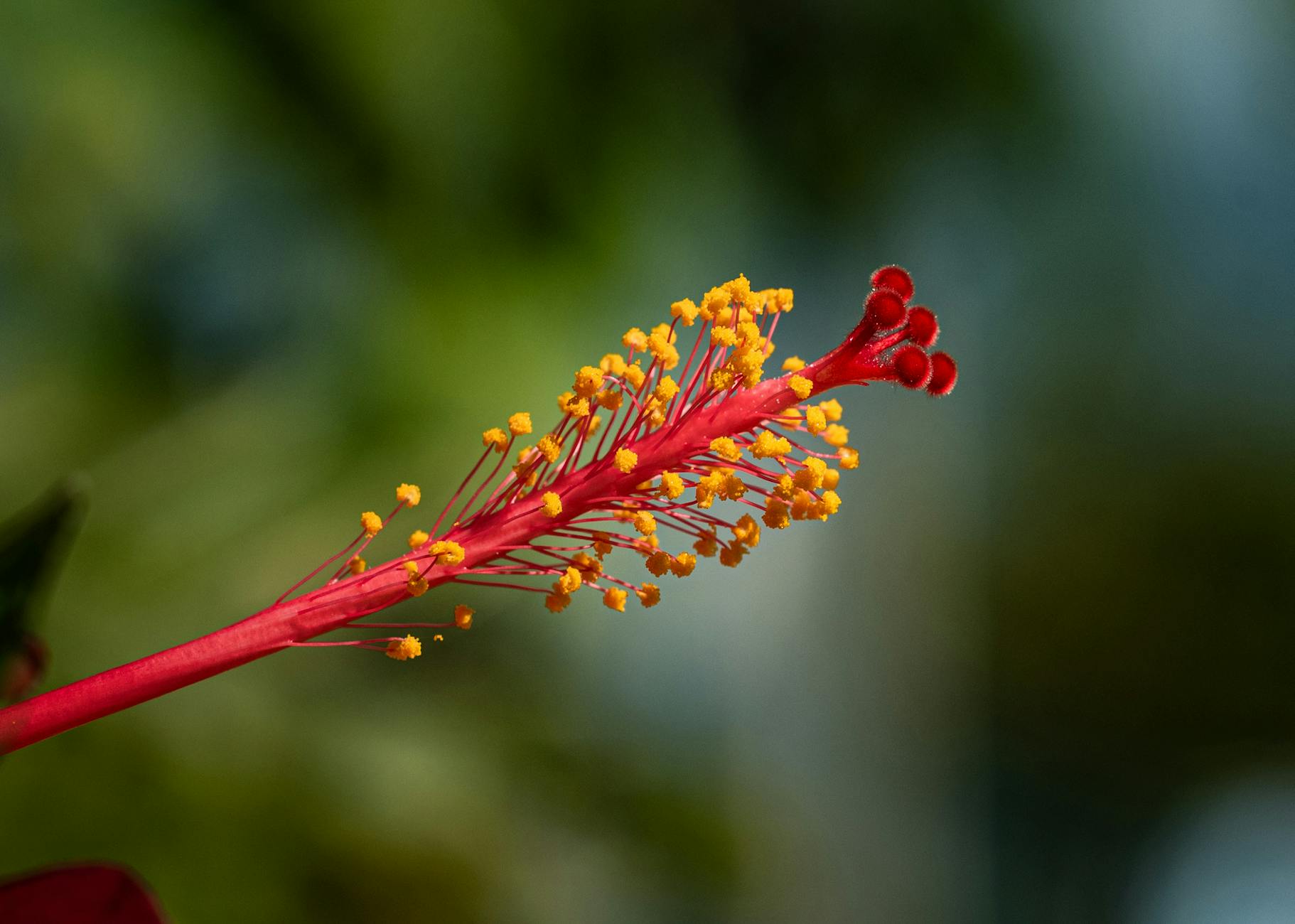 What Are the Best Free QR Code Generators Available Today?