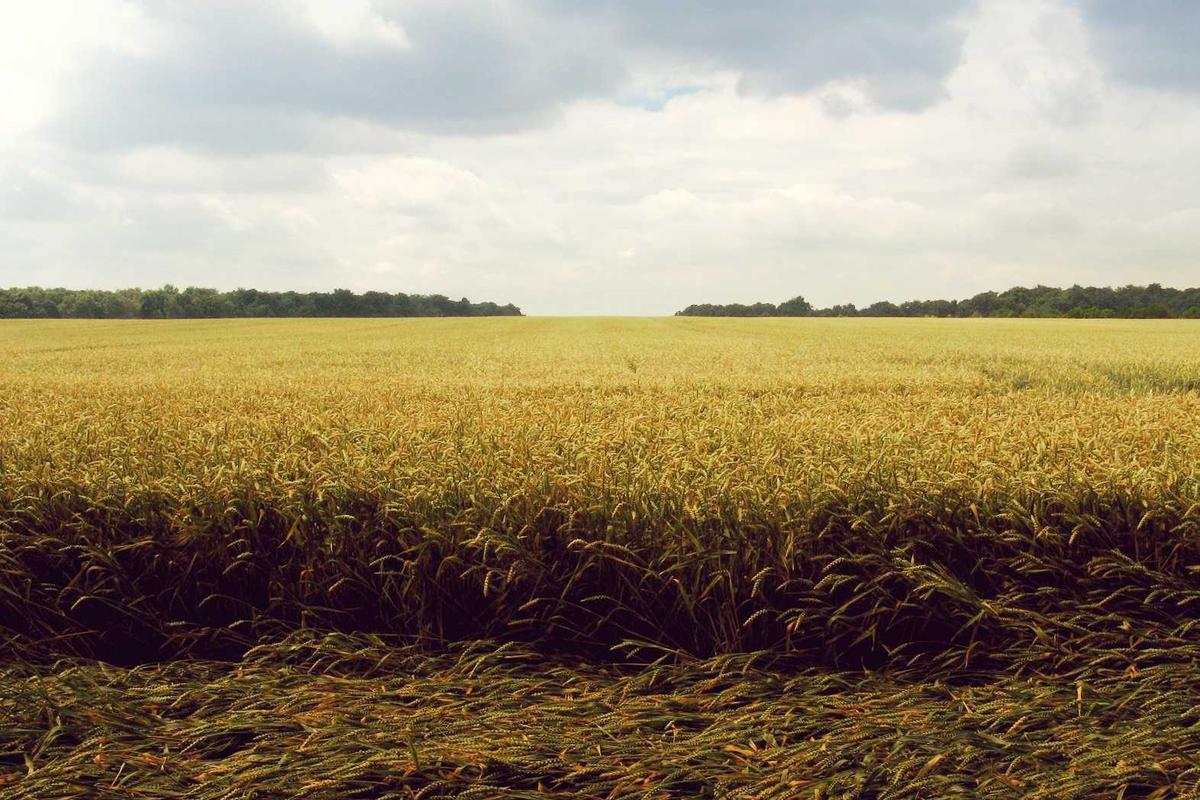 What Are the Red Flags You Should Never Ignore?