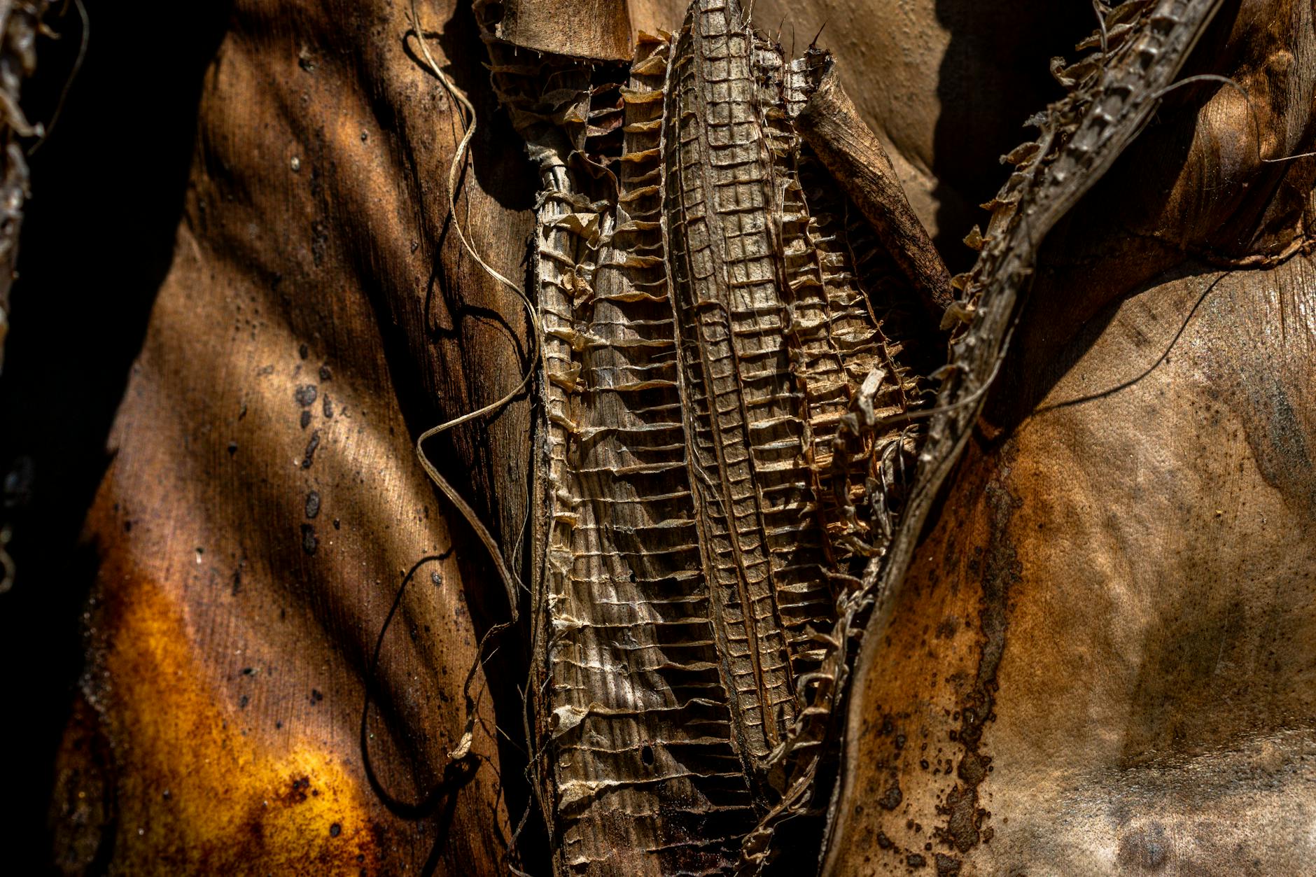 What Details Emerged From the Queens Kidnapping Report?