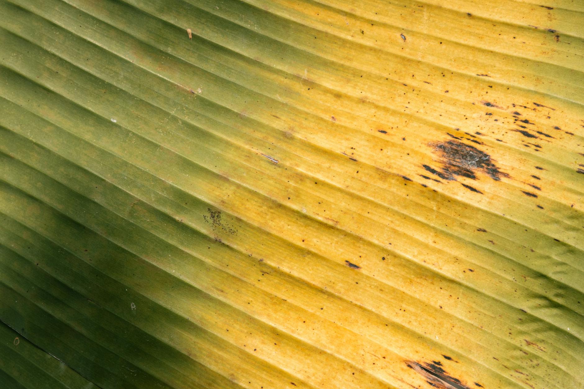 What Is This $2,960 Windfall Check Claim, and Why Is It False?