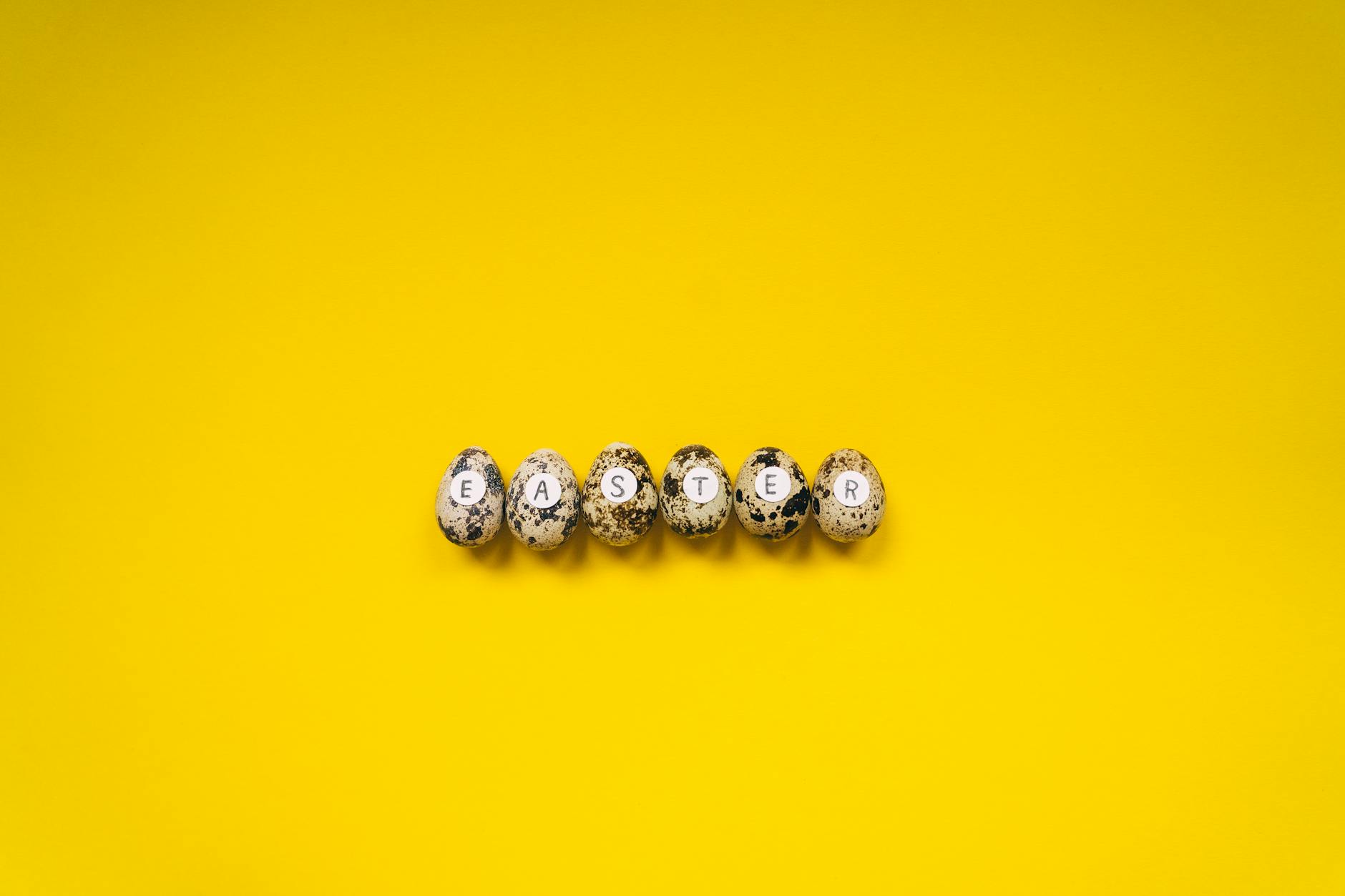 Where to Apply and How to Schedule Your Appointment