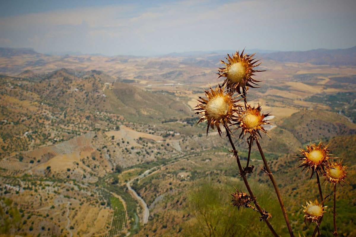 Which Carrier Offers the Cheapest Shipping Rates?