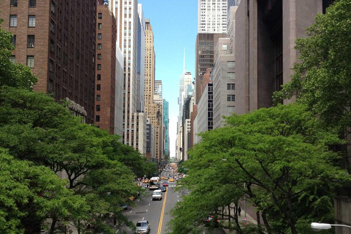 Whose Policies Actually Win—The Concentration of Lobbying-Influenced Outcomes