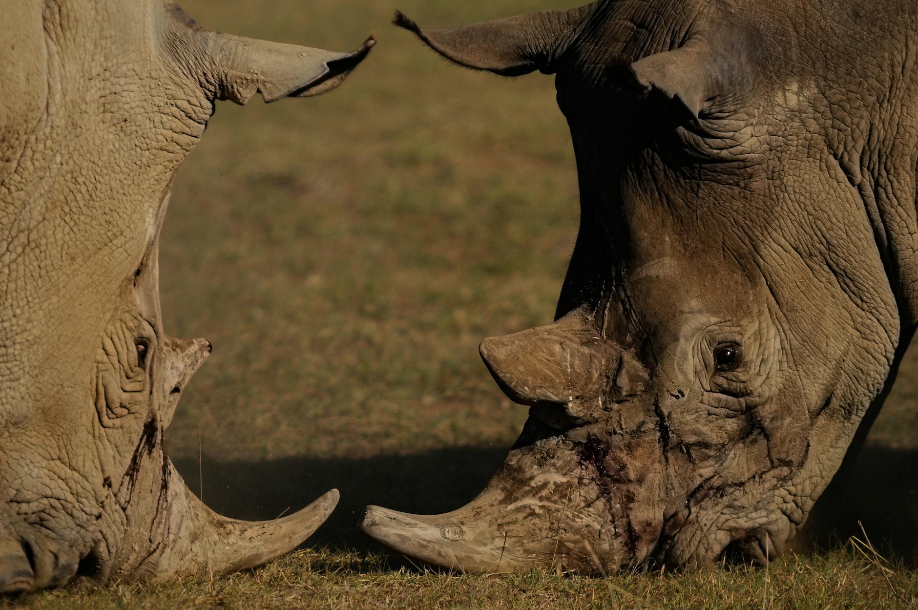 Why Geoeconomic Confrontation Threatens Market Stability