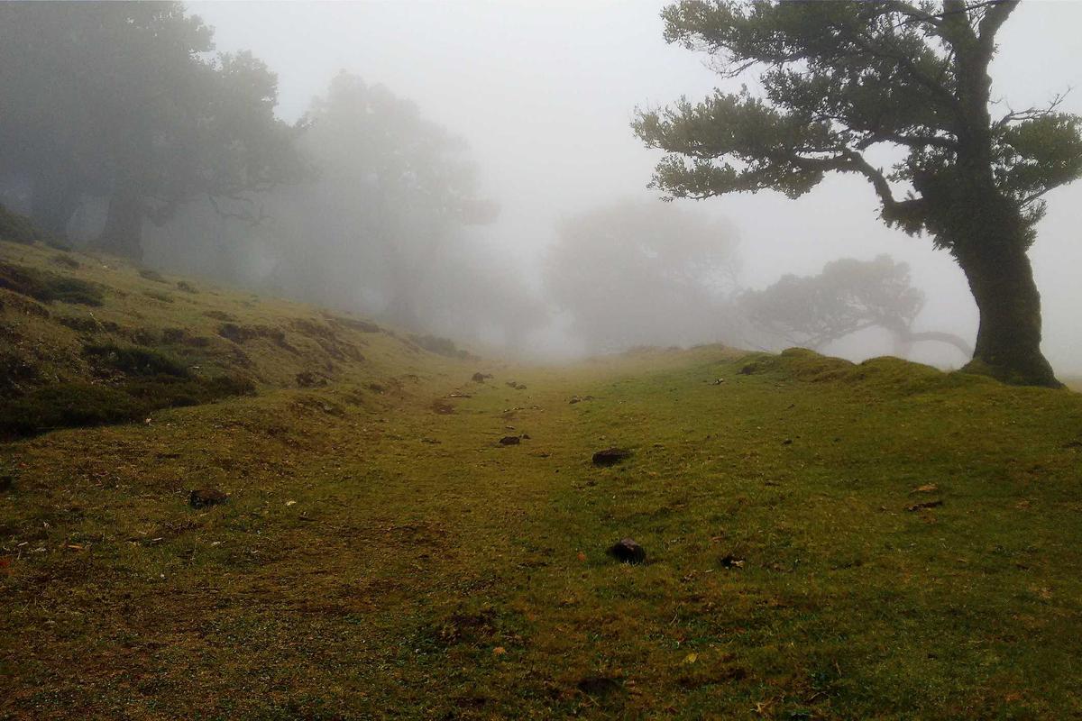 Why Scammers Request Your SSN and Bank Information