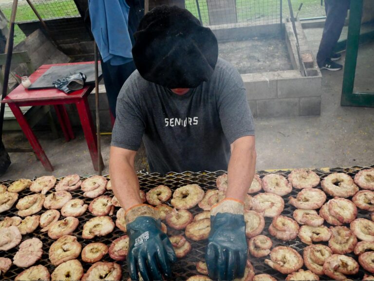 Best Argentine Restaurants in Queens NY - Featured image