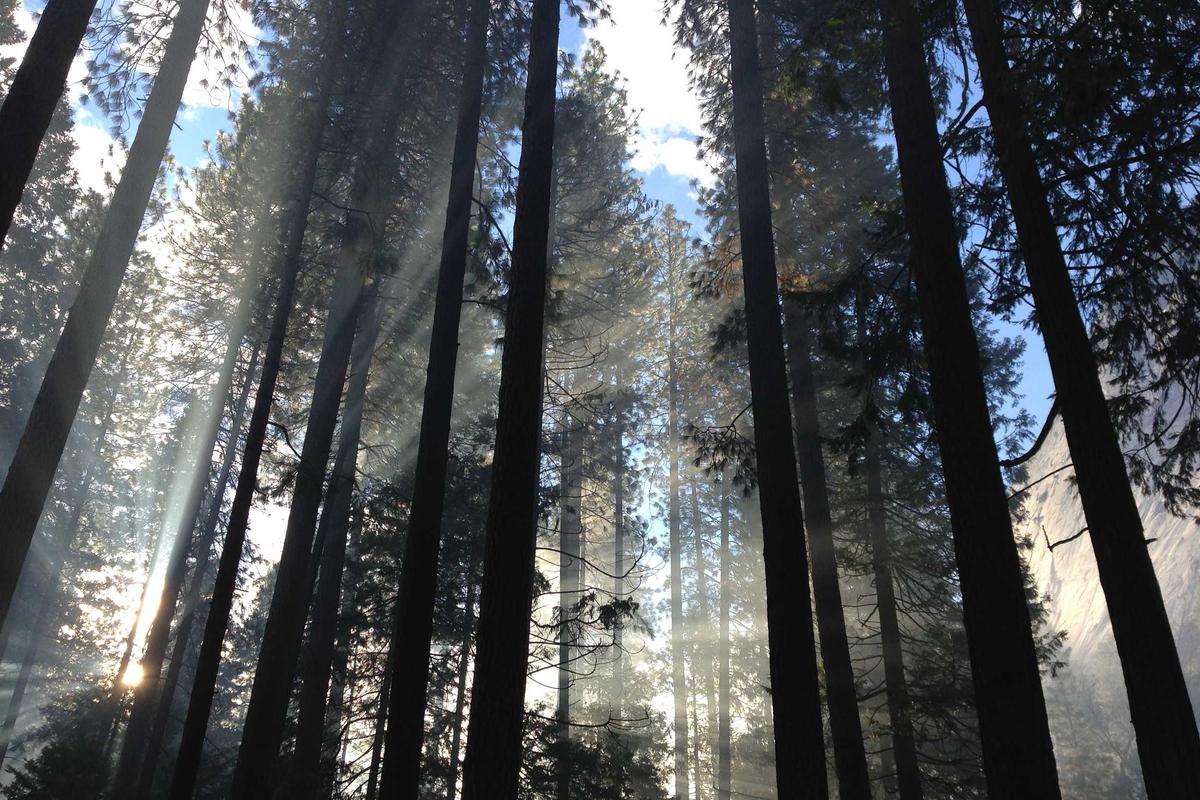 Best Restaurants in San Jose CA for Large Groups and Birthday Parties with Private Rooms - stock market