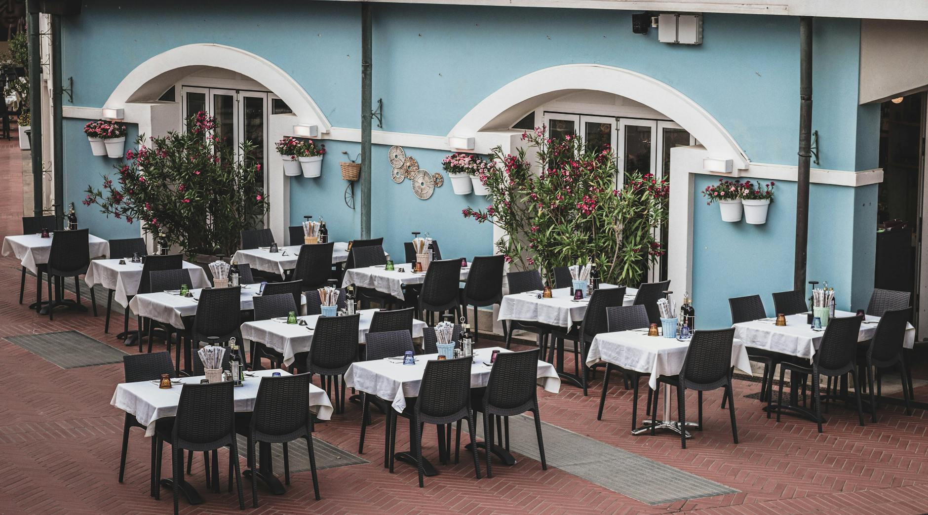 Comparing Restaurant Types Available in the Sheepshead Bay Area