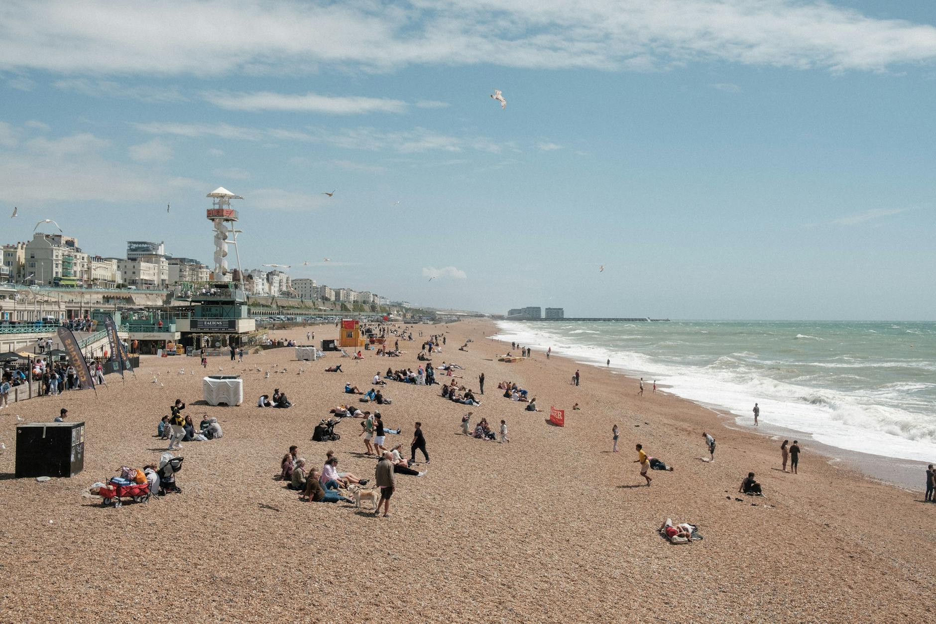 How Has Brighton Beach's Russian Restaurant Culture Evolved?