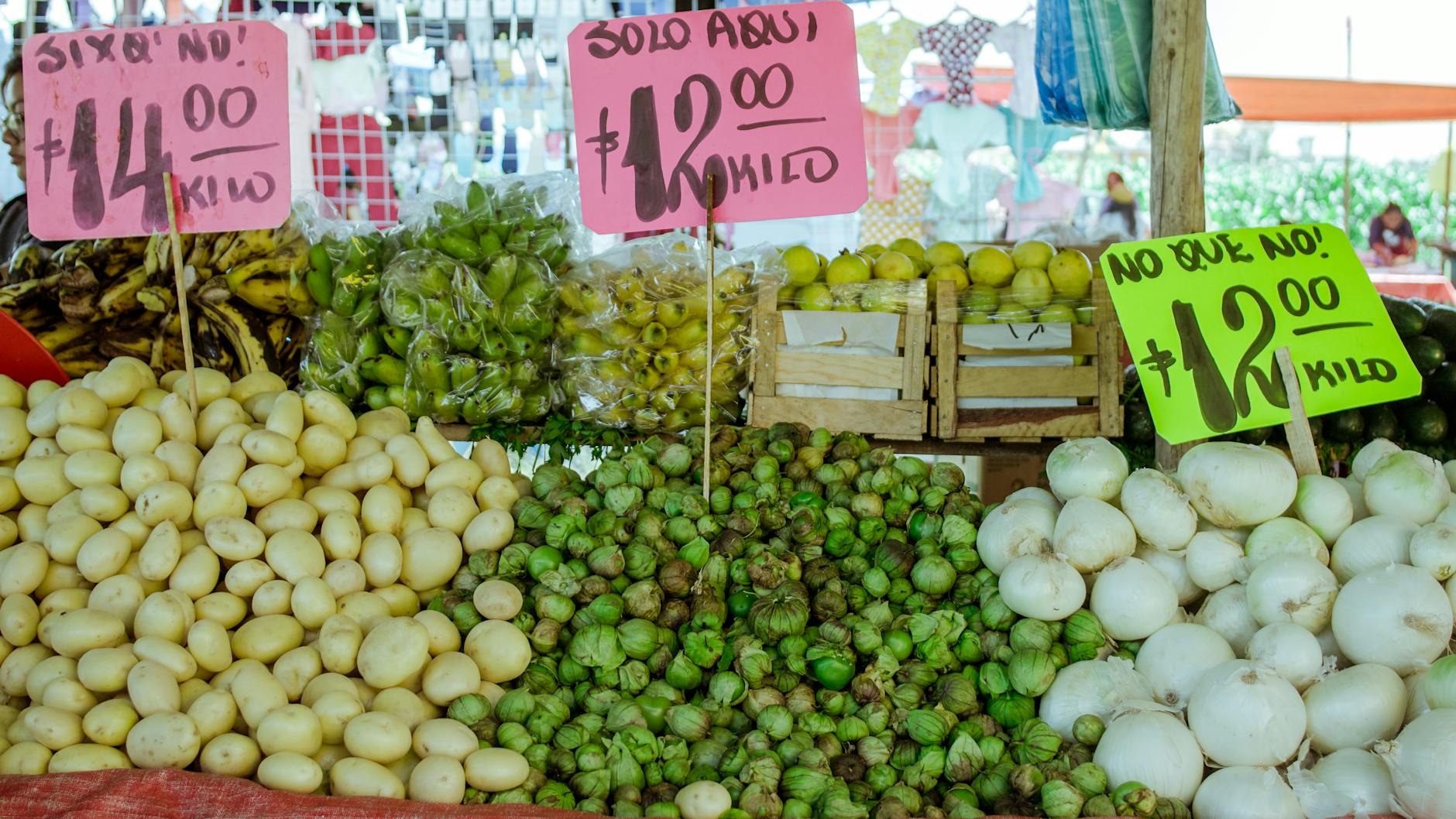 How Pizza Price Correlates With Ingredient Quality in the Bronx