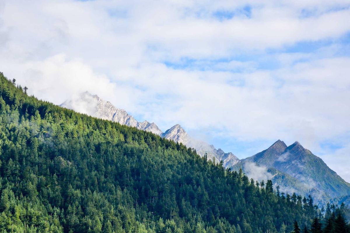 Italian and Mediterranean Cuisine Dominance