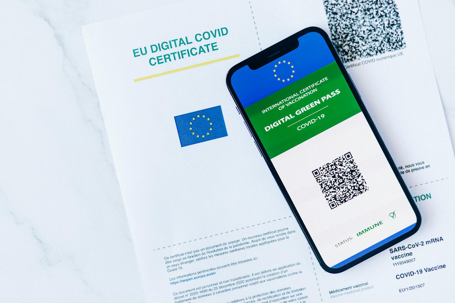 Kashruth Certification Standards and Verification