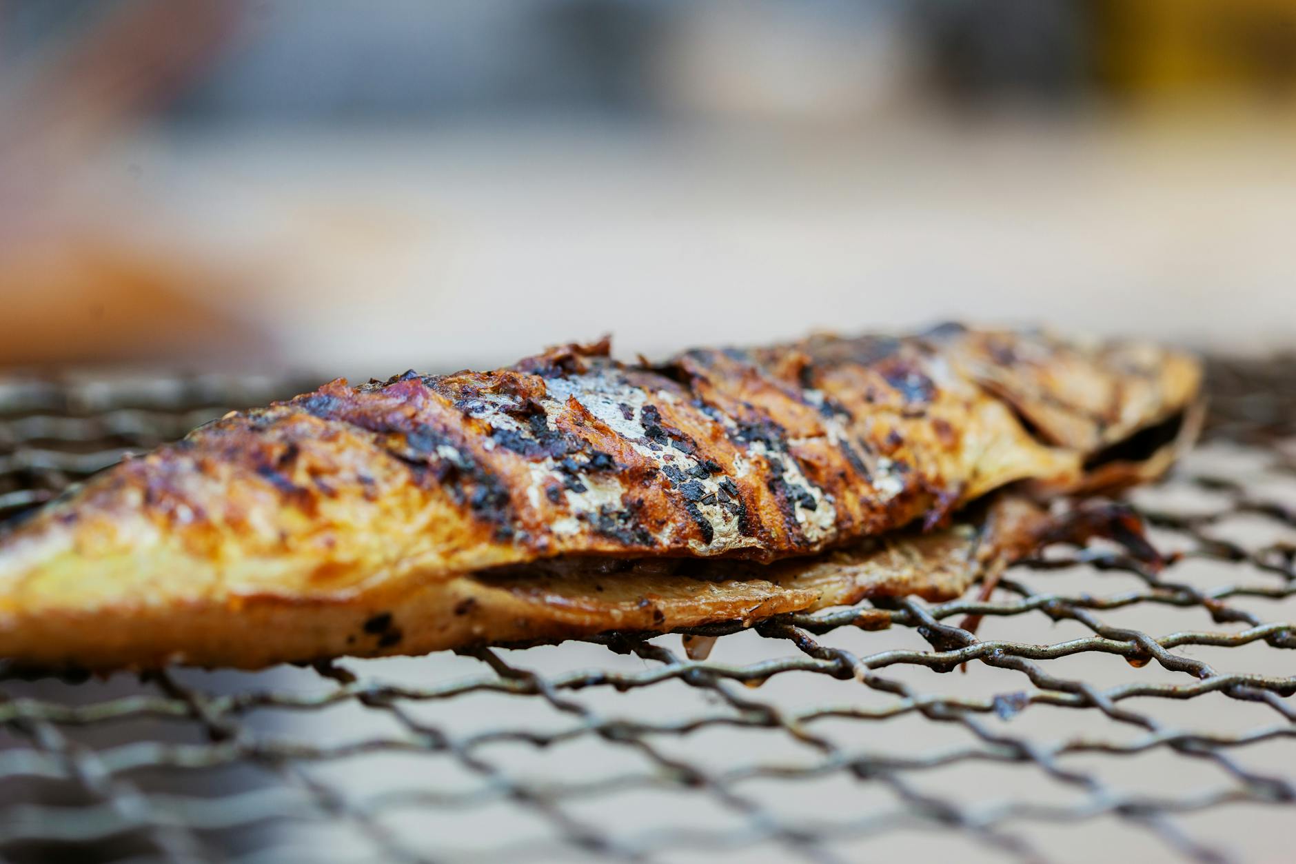 Restaurant-Specific Grilled Fish Excellence and Traditional Preparations
