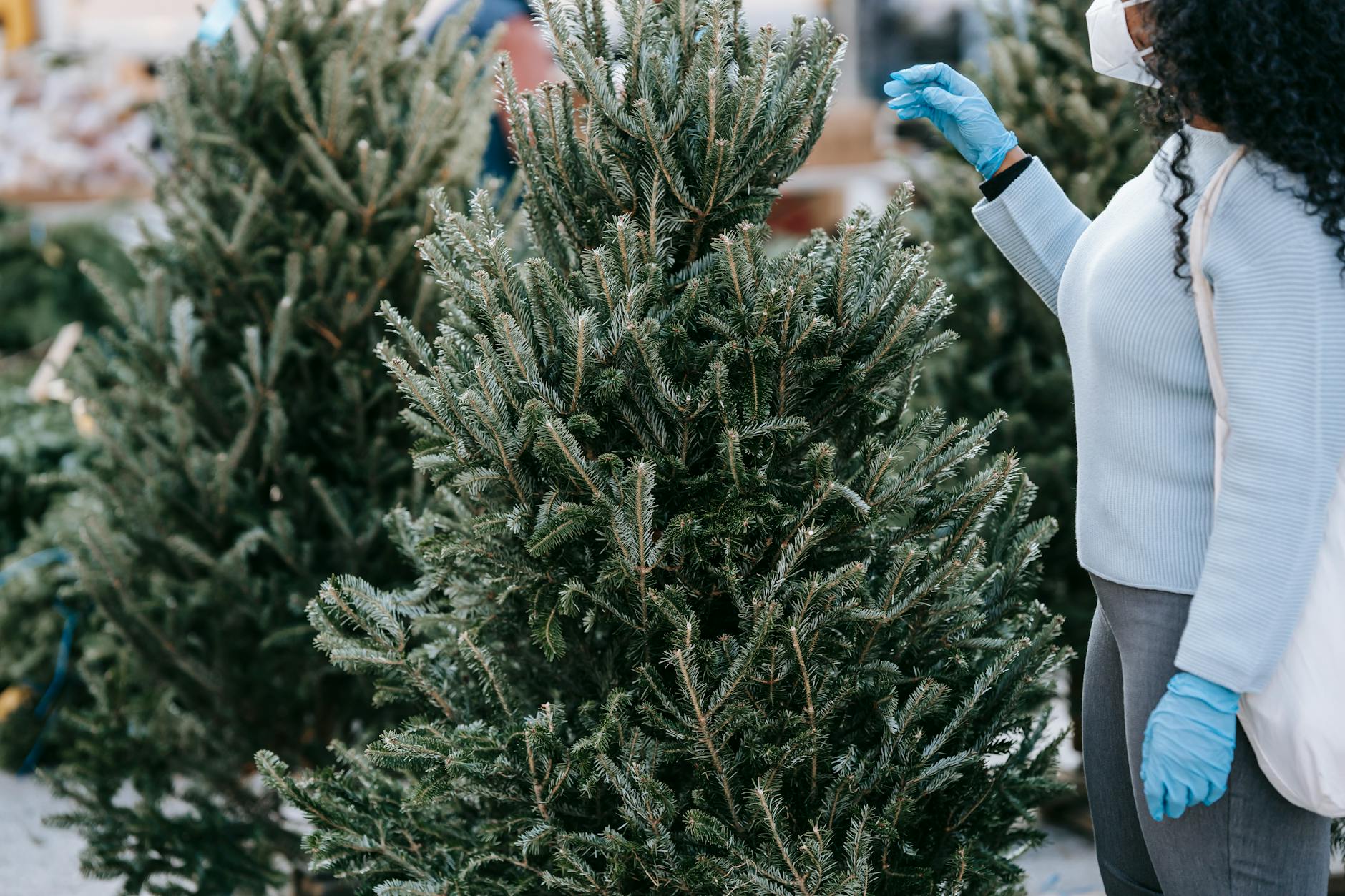 Seasonal Availability and Unexpected Limitations