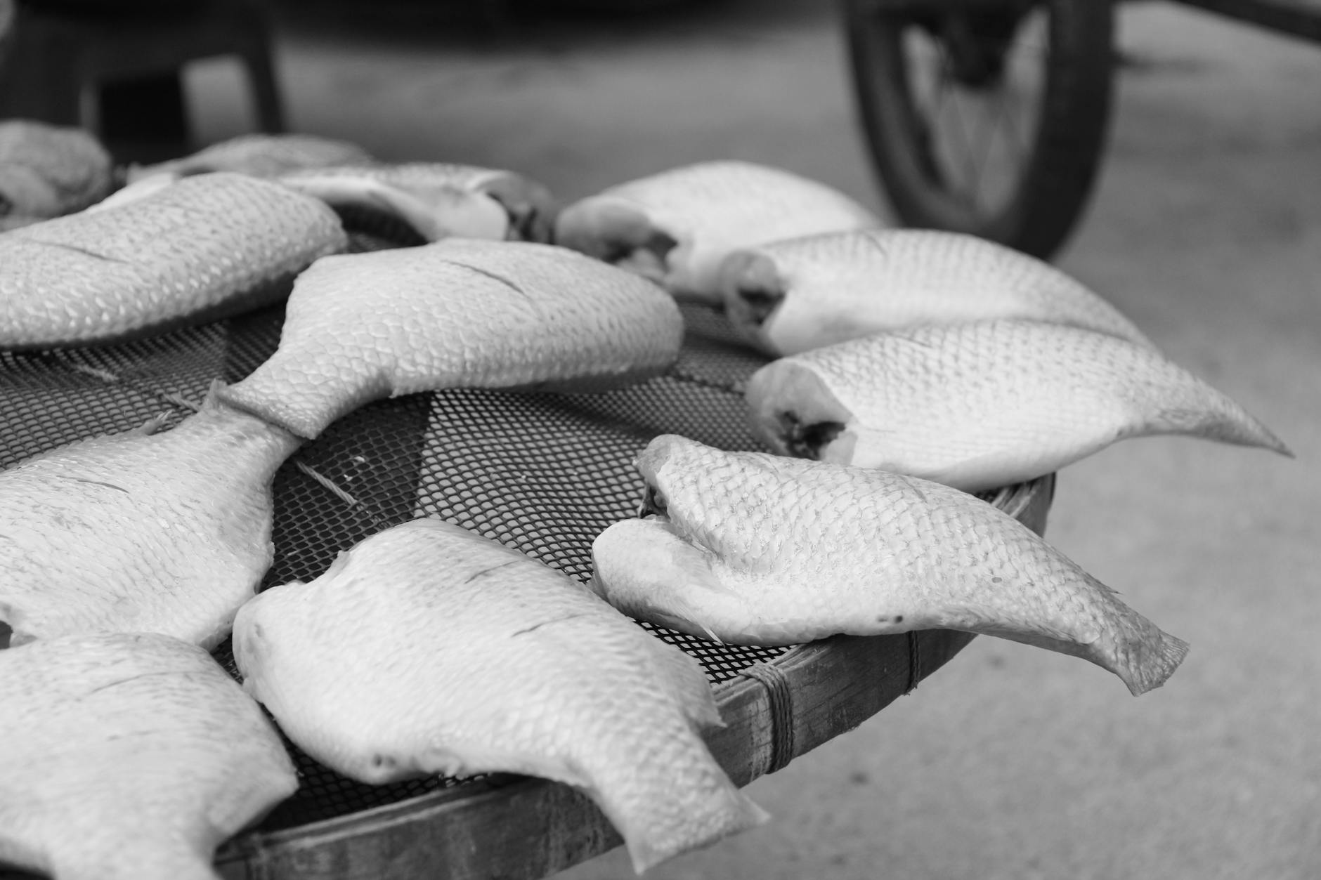 Species and Preparation Methods in Sheepshead Bay