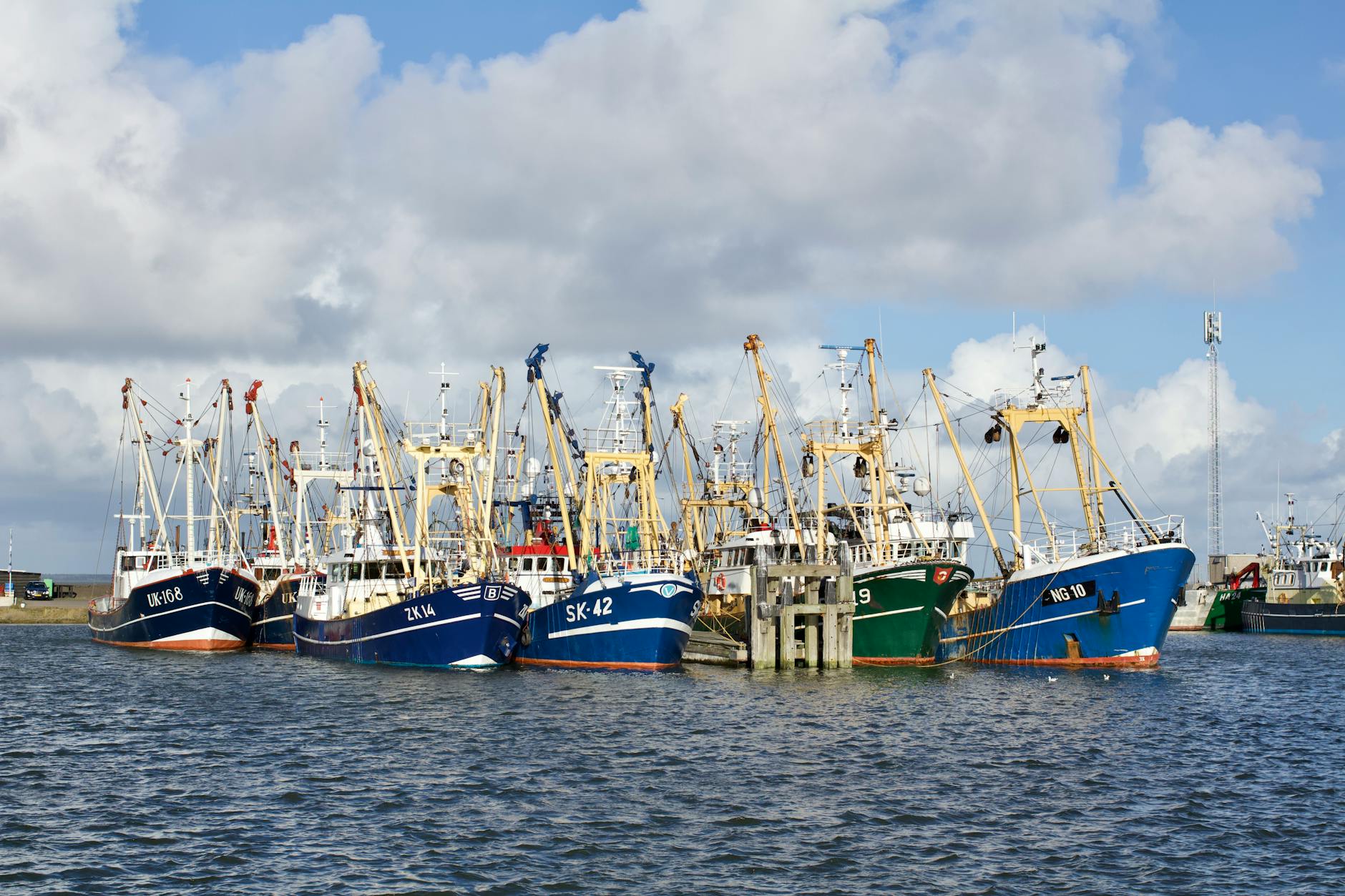 The Role of Fishing Fleet Accessibility in Menu Quality