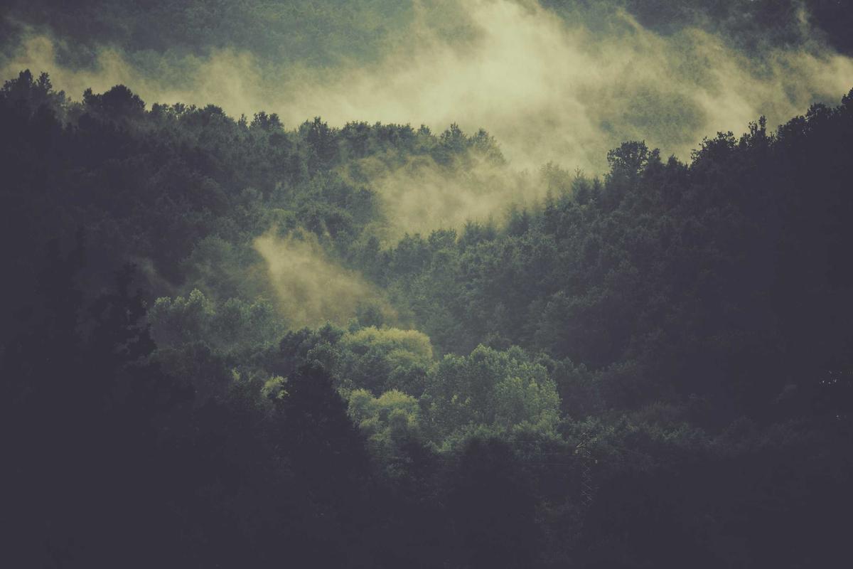 The Social and Practical Experience of Each Venue