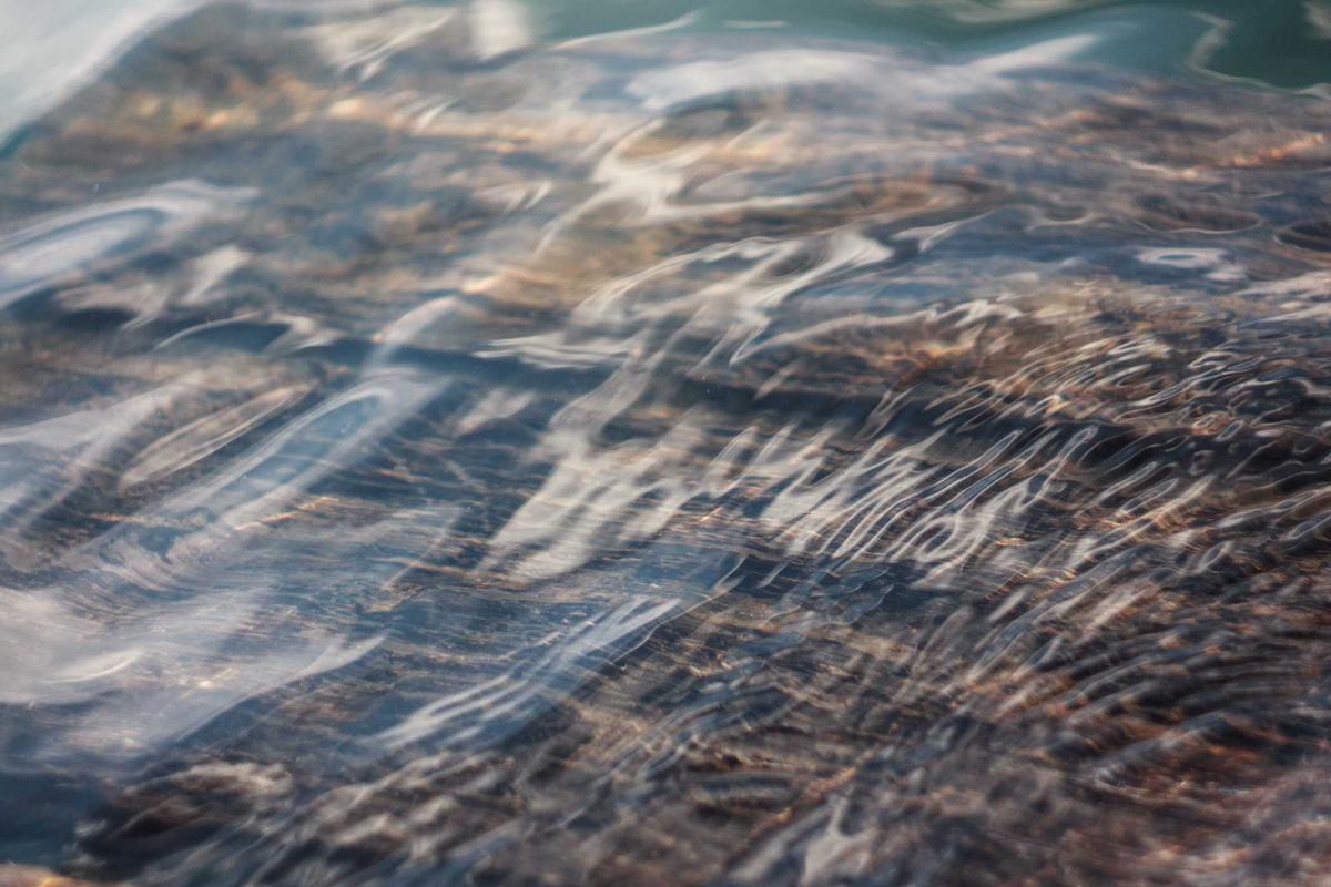 What Makes a Sports Bar Stand Out for Food Quality in San Jose?