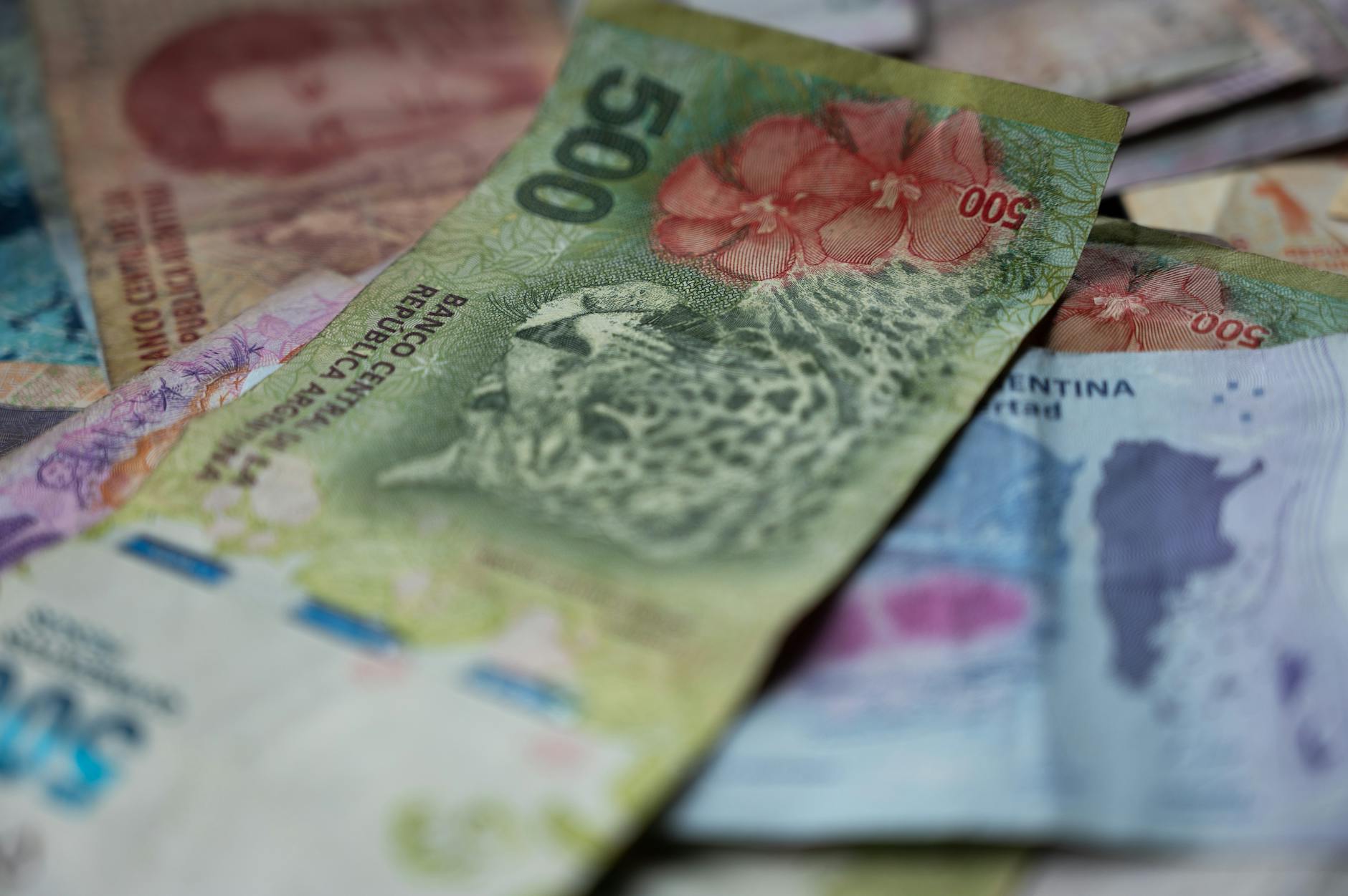 What Makes Argentine Cuisine Different From Other Latin American Options in Queens?