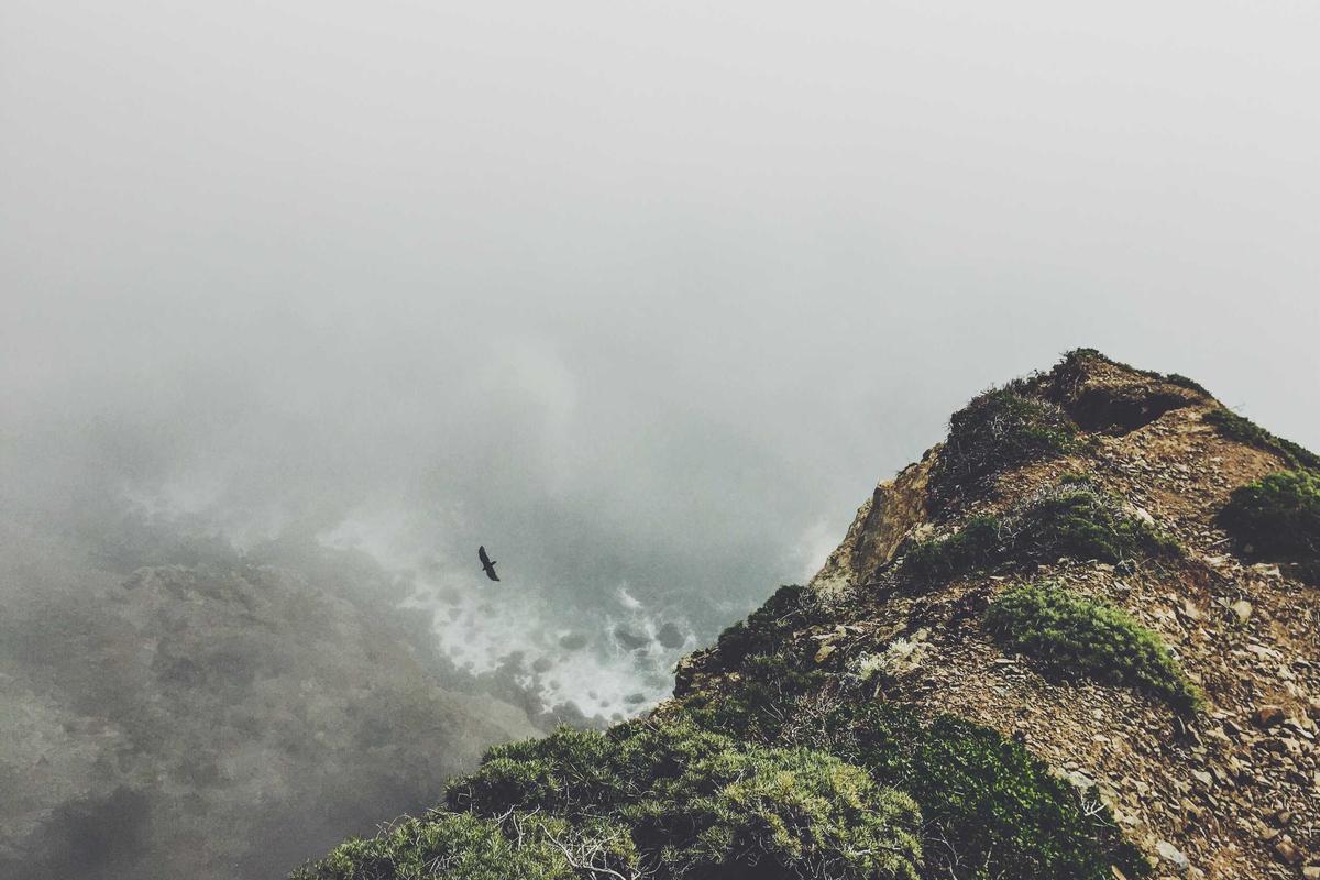 What Makes Flushing Queens a Premier Restaurant Destination?