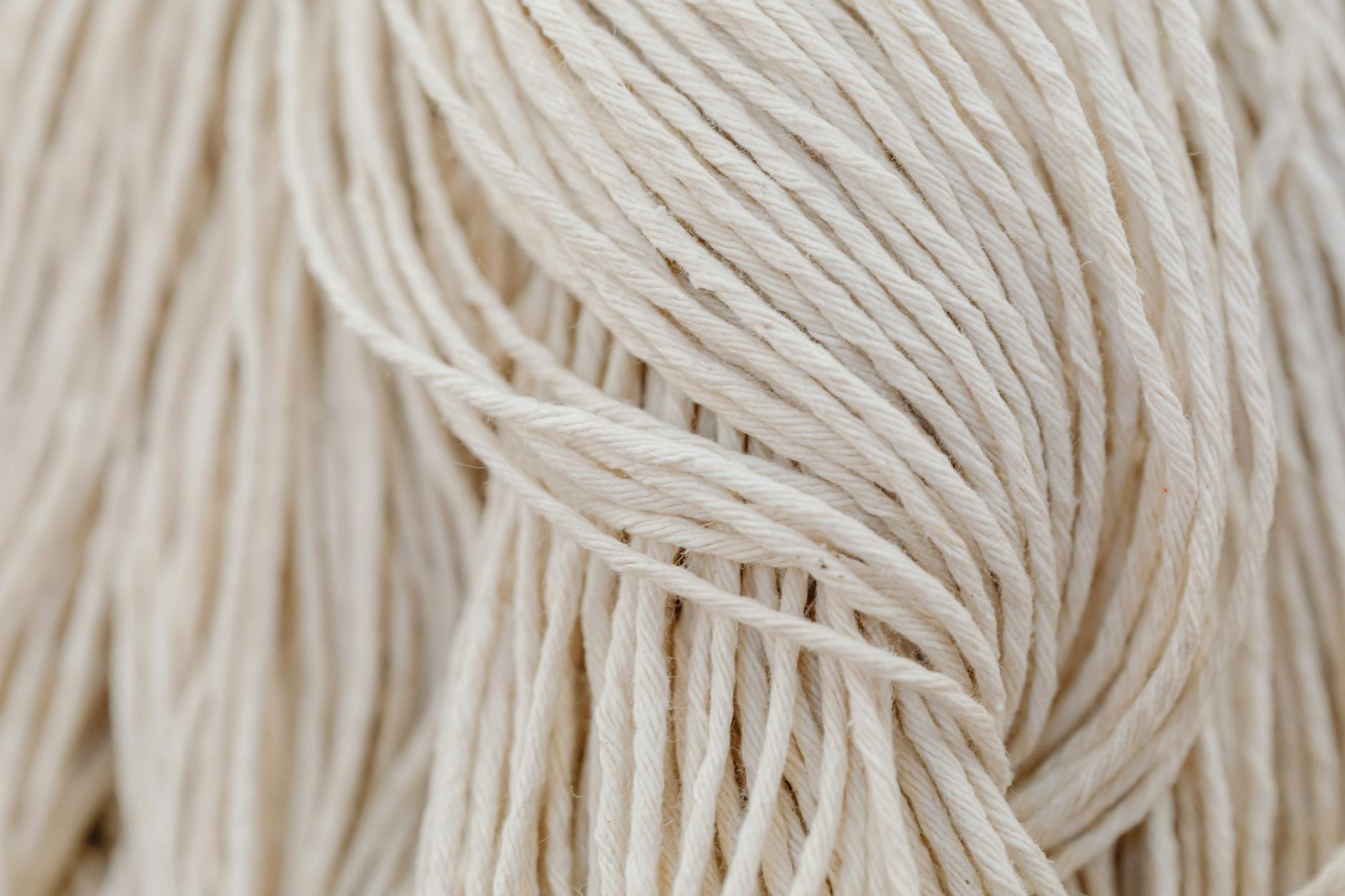 What Makes the East Village Restaurant Market Distinctive?