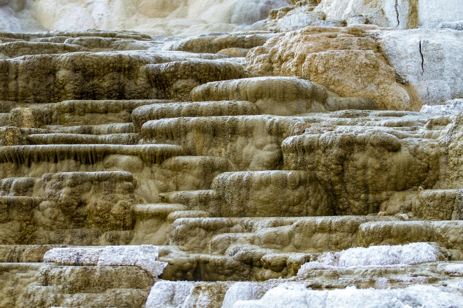 Where Are the Top-Tier Restaurants Around Wall Street?