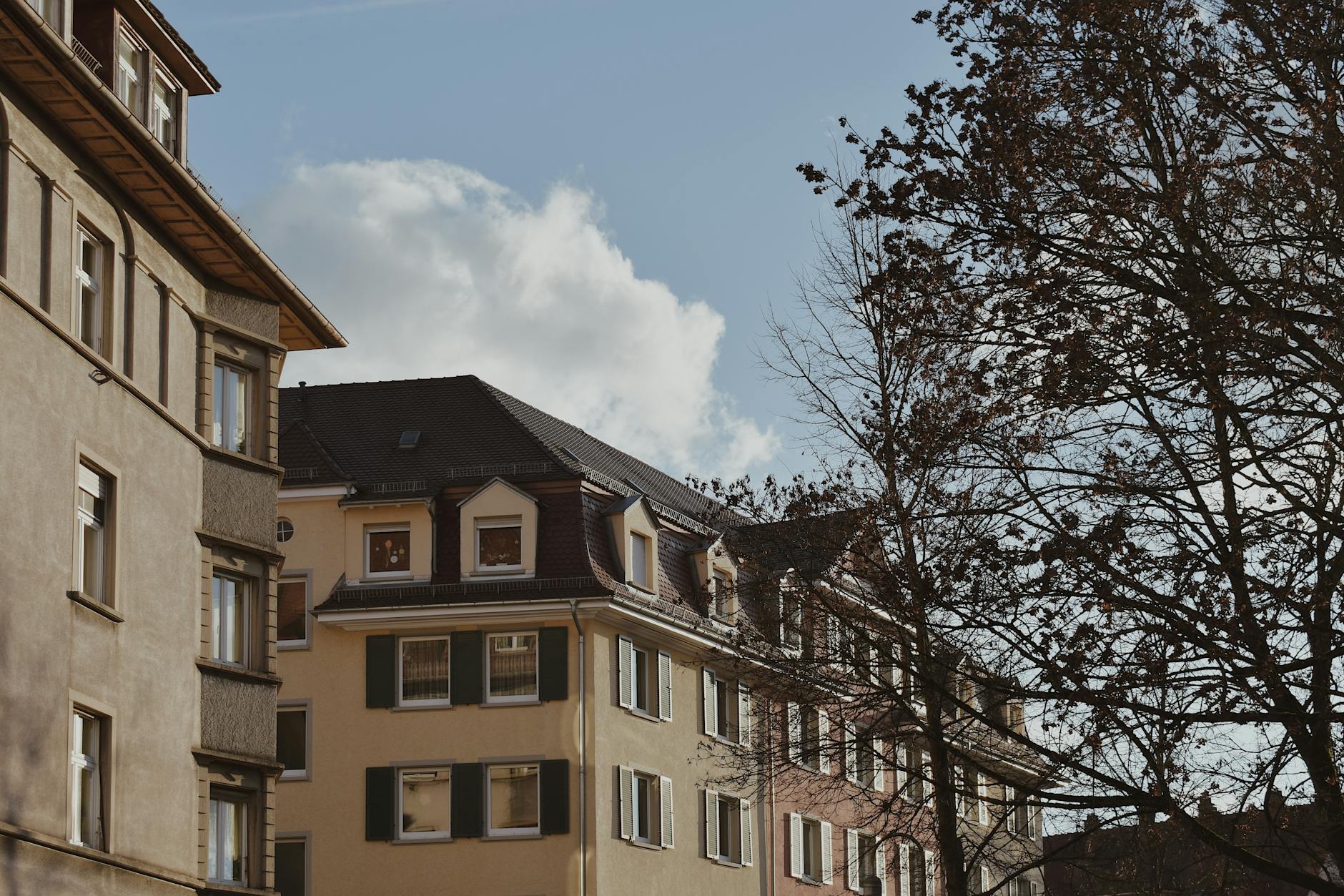 Which Neighborhoods in 10003 Offer the Best Brunch Experiences?