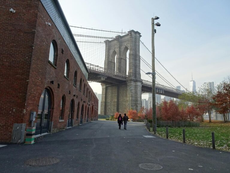 Best Brooklyn Restaurants for Visitors Who Want Authentic Chinese and Southeast Asian Food - Featured image