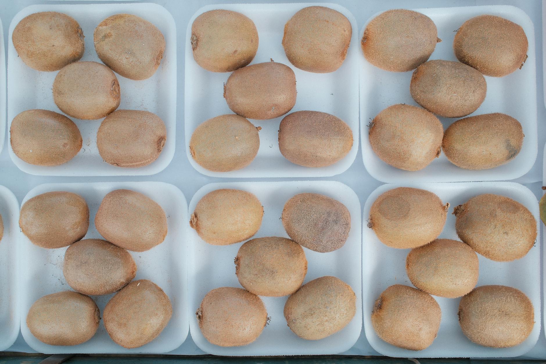 HOW DID KIWI FARMS ACTUALLY EXPAND BEYOND ITS ORIGINS?