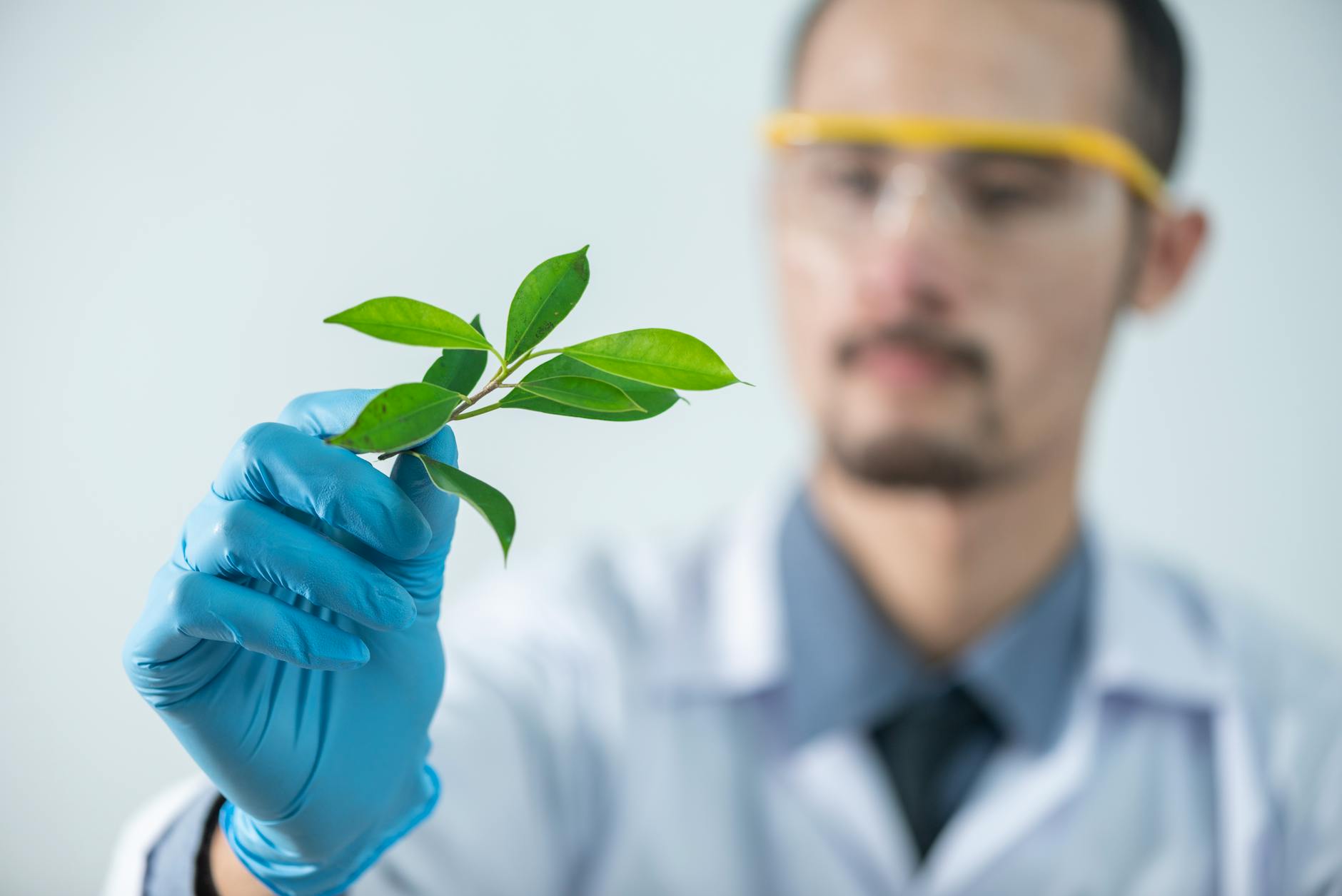 How Different Plant Species Experience Winter Differently