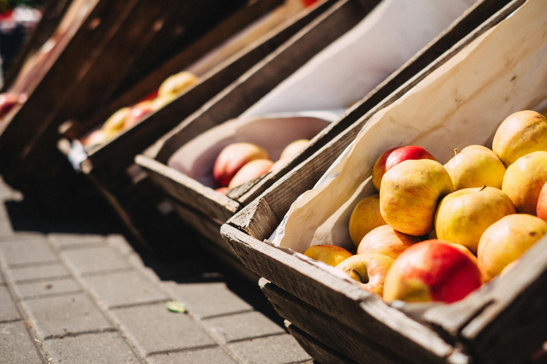How Do Reservation Challenges and Seasonal Availability Affect Planning?