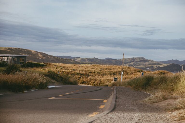 How Kiwi Farms Found a New Host After Cloudflare - Featured image