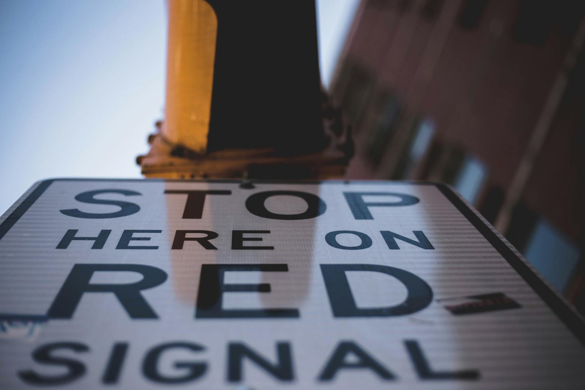 How Pre-Orders Signal Market Demand to Investors