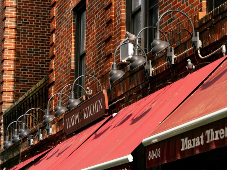 How to Build a Catio on a Small NYC Balcony - Featured image