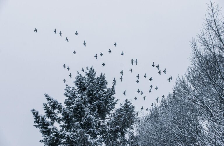 How to Migrate a List Without Losing Subscribers to the Reset - Featured image