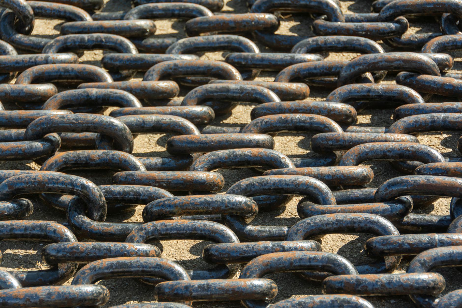 Identifying Spammy Links Before You Disavow