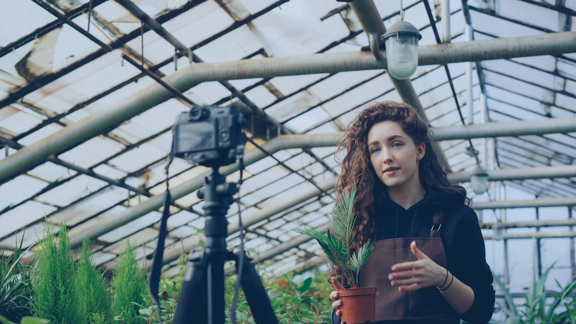 Patreon as a Sustainability Metric in the Creator Economy