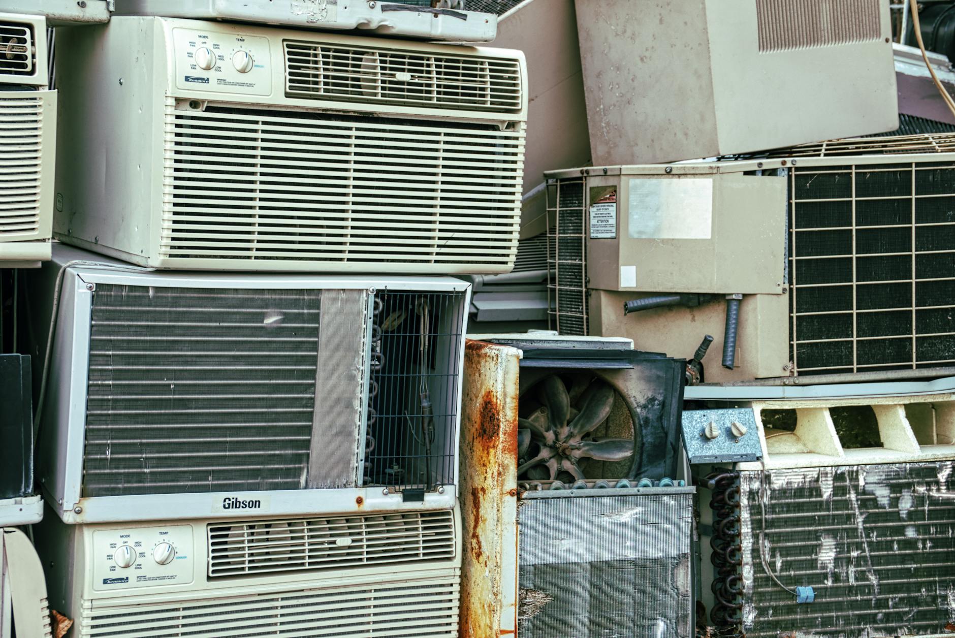 Real-World Storage Conditions and Actual Shelf Life
